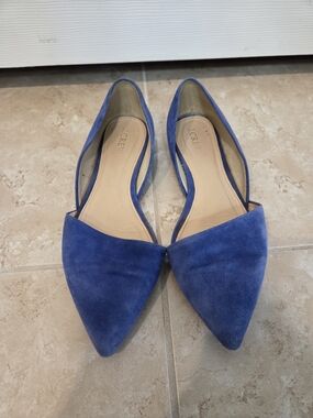 J.Crew Blue Suede Pointed Toe D'Orsay Flats